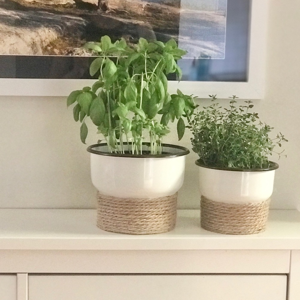 Flower Pot